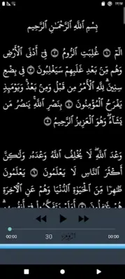 Abdulbasit Quran Tajweed 3/3 android App screenshot 12