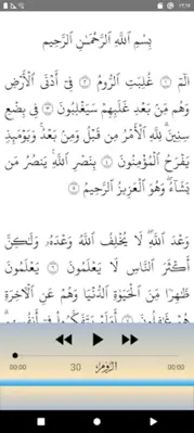 Abdulbasit Quran Tajweed 3/3 android App screenshot 14